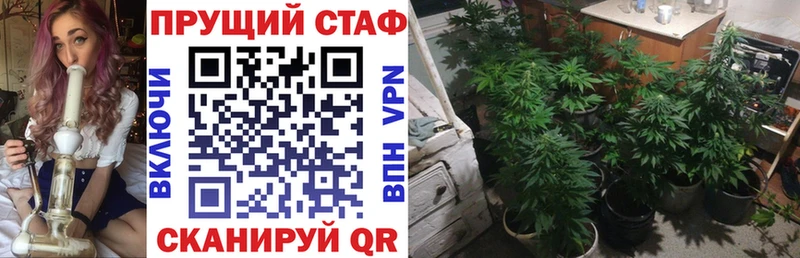 Где продают наркотики Черкесск Alpha PVP  Бошки Шишки  Меф  ГАШИШ  Cocaine 