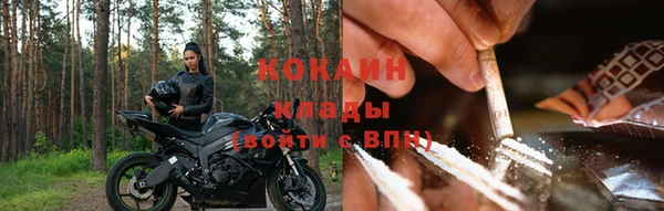a pvp Алзамай