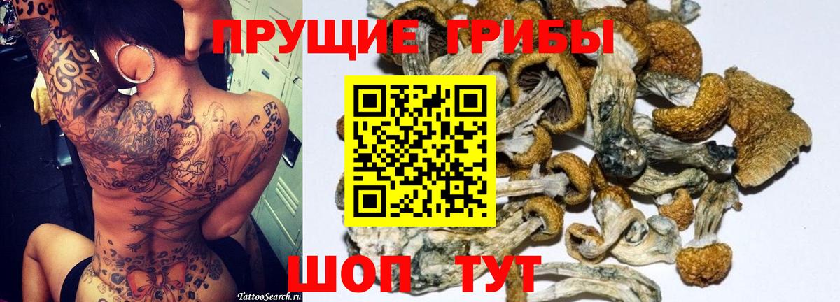 Галлюциногенные грибы Psilocybine cubensis  Вход с VPN  Черкесск 